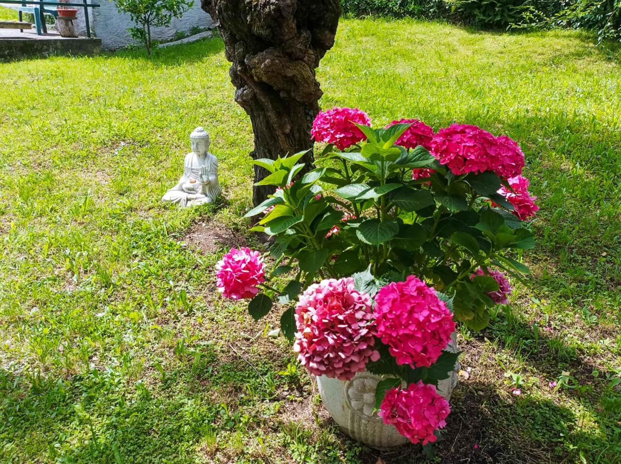 Tre Terre Ferienwohnung Pianello Del Lario 外观 照片